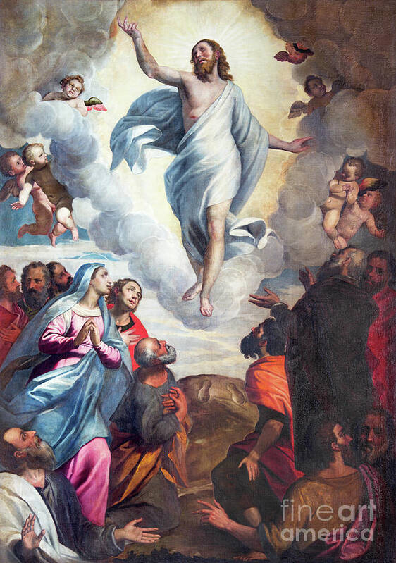 Bernardino Gandino's Renaissance oil painting 'Ascension of the Lord' depicts the risen Christ ascending bodily into heaven while the apostles watch in wonder below, capturing the moment of His coronation as human nature is enthroned at God's right hand